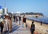 〈포토〉주말 영상 15도, 나들이객 크게 늘어!
