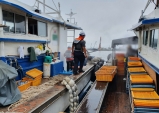 포항해경, 무역항 항로 등에서 조업한 어선 20척 검거