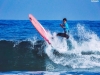 '제6회 포항메이어스컵 서핑 챔피언십' 24일 개막