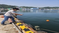 경북 동해연안 해수에서 올해 첫 비브리오균 검출
