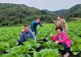 벼대신 타작물재배로 농가소득 ‘경북형 농업대전환’ 확산추세