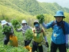 제21회 영양산나물축제, 12만 인파대성황