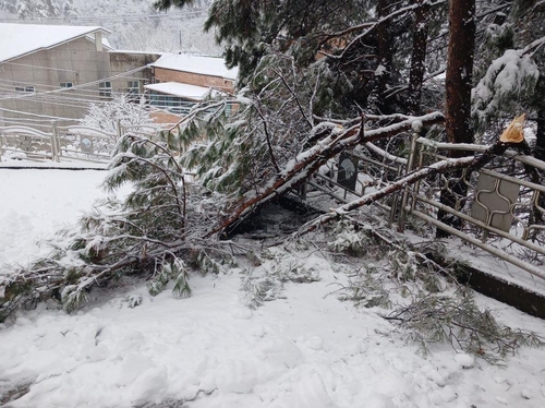 경북 기상악화.jpg