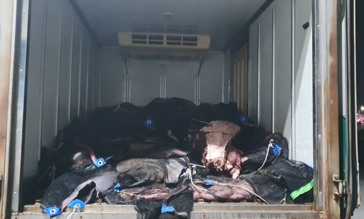 [꾸미기]탑차 내 고기.jpg