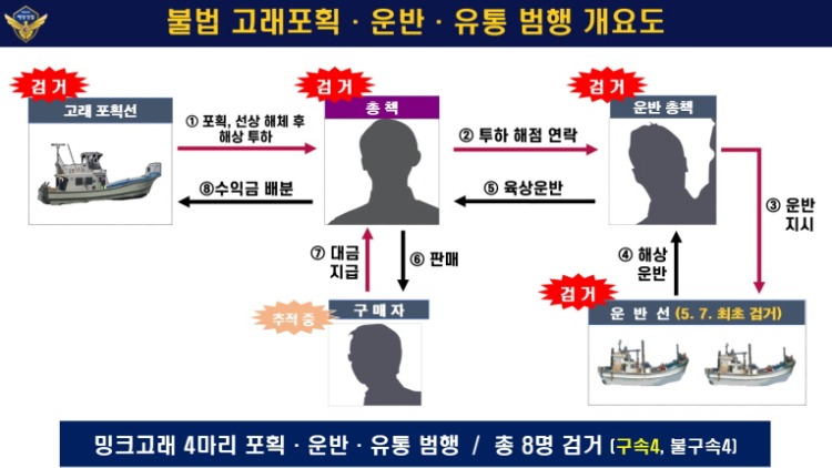 [꾸미기]불법 고래포획 운반 유통 범행 개요도.jpg