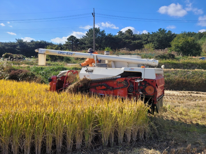 [꾸미기]쌀값 오름세.jpg