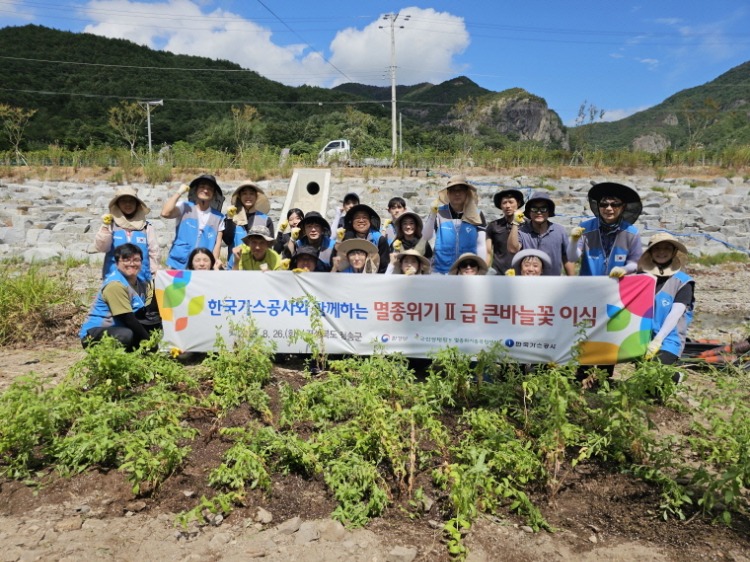 [꾸미기]사진 1. 한국가스공사와 함께하는 멸종위기II급 큰바늘꽃 이식.jpg