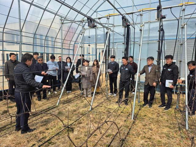 경북 재해대응형 사과재배.jpg