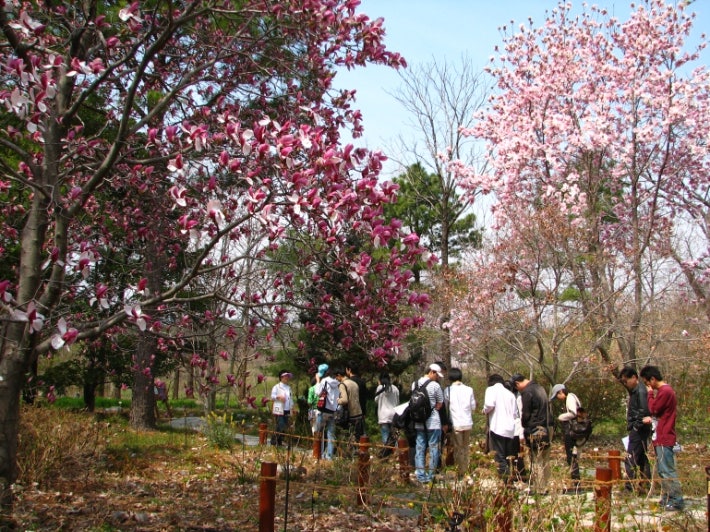 기청산 식물원.jpg